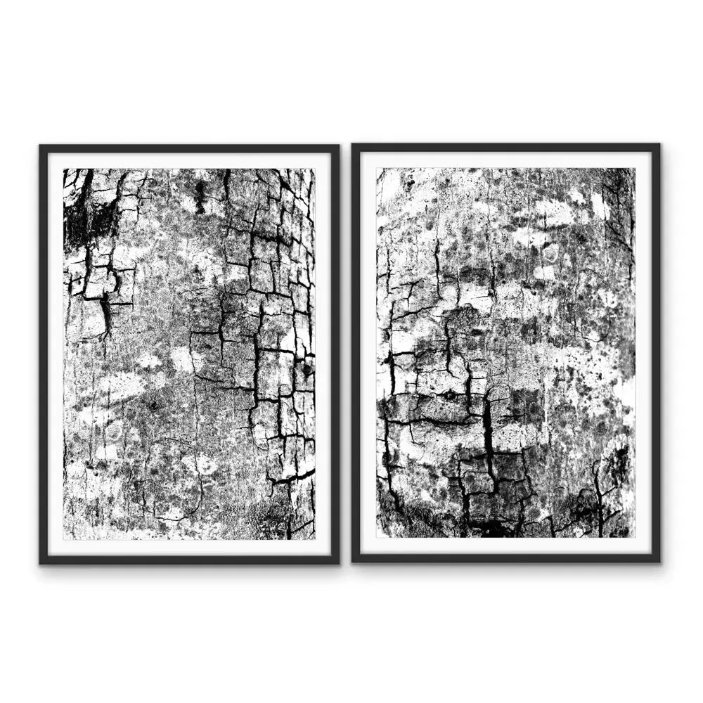 A Study Of Bark In Black and White -   Stretched Canvas Print or Framed Fine Art Print - Artwork