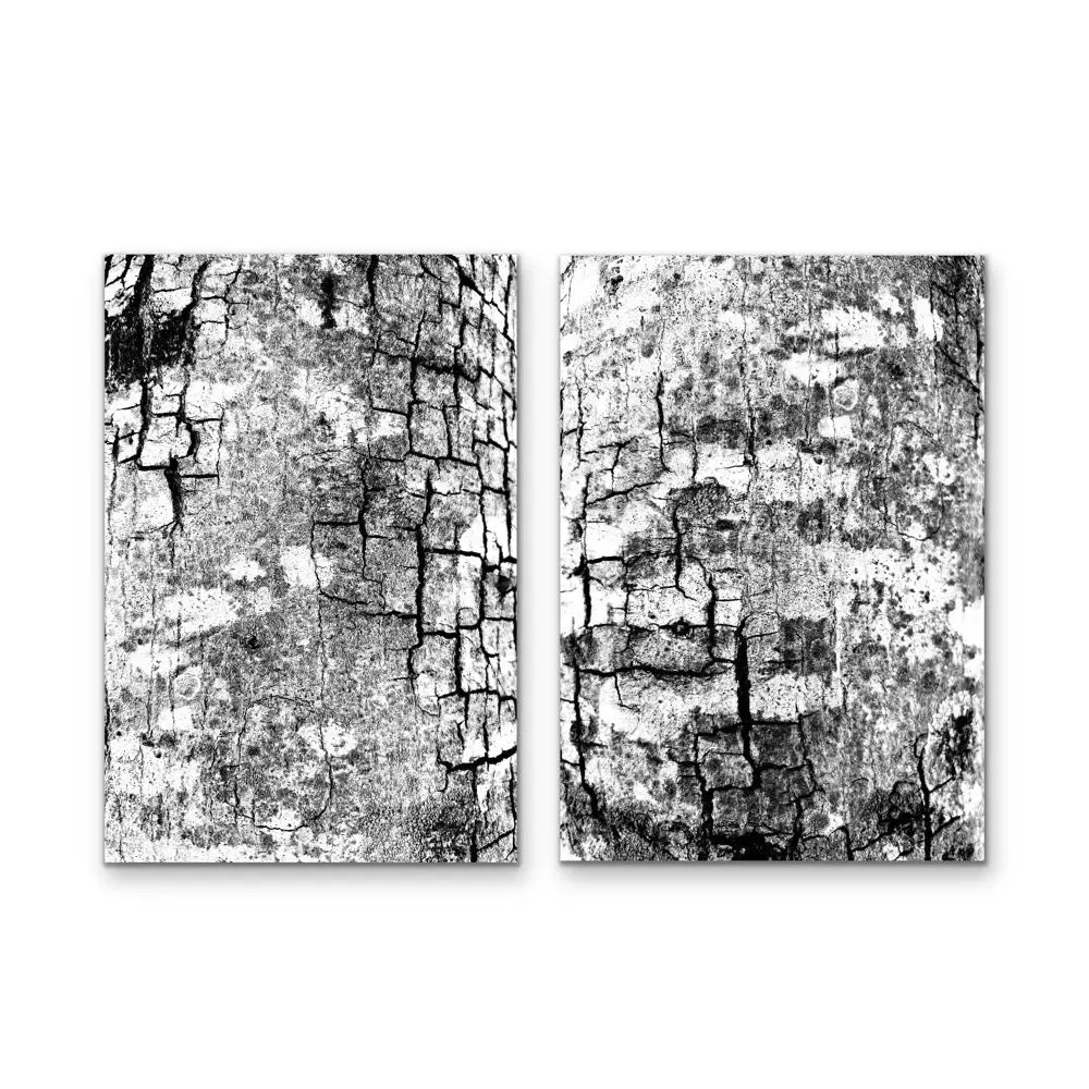 A Study Of Bark In Black and White -   Stretched Canvas Print or Framed Fine Art Print - Artwork