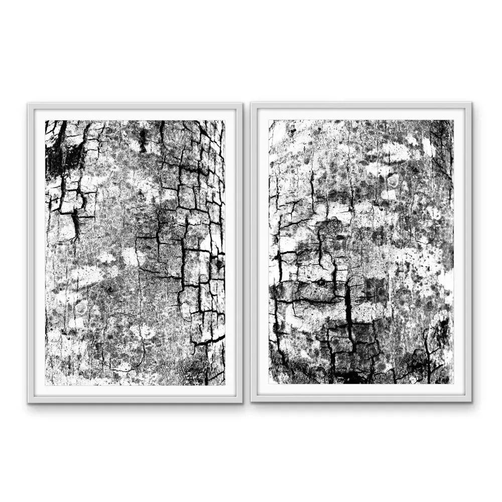 A Study Of Bark In Black and White -   Stretched Canvas Print or Framed Fine Art Print - Artwork