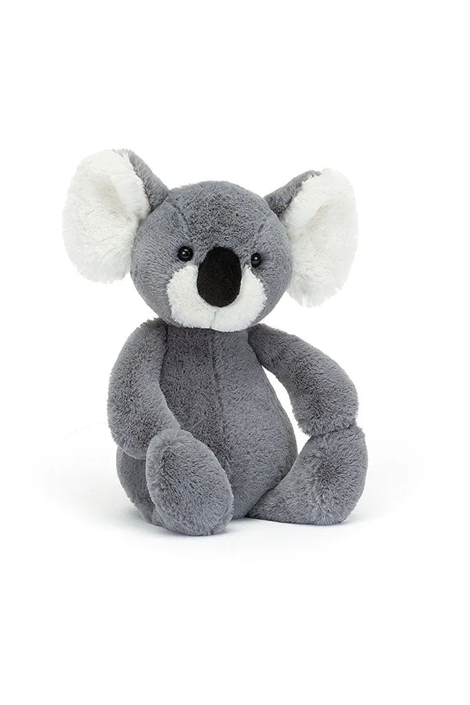 Bashful Koala