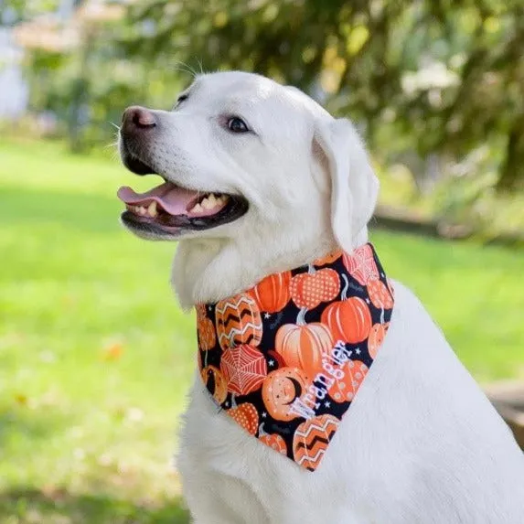 Pumpkins and Fall Harvest Pet Bandanas