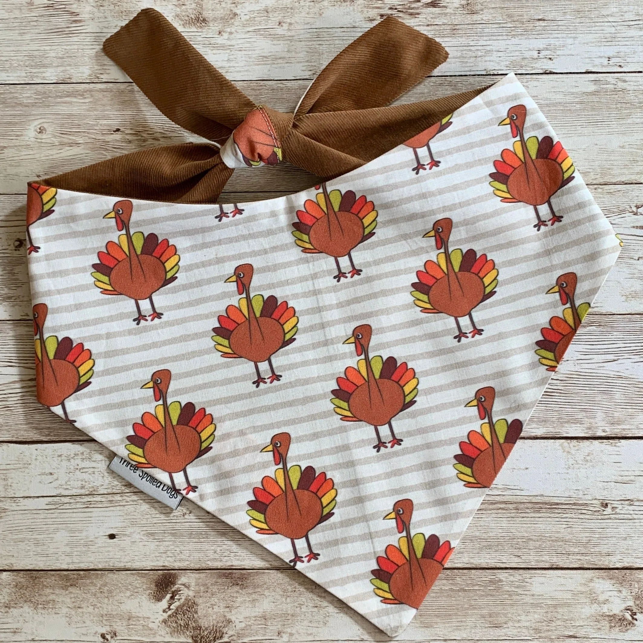 Pumpkins and Fall Harvest Pet Bandanas