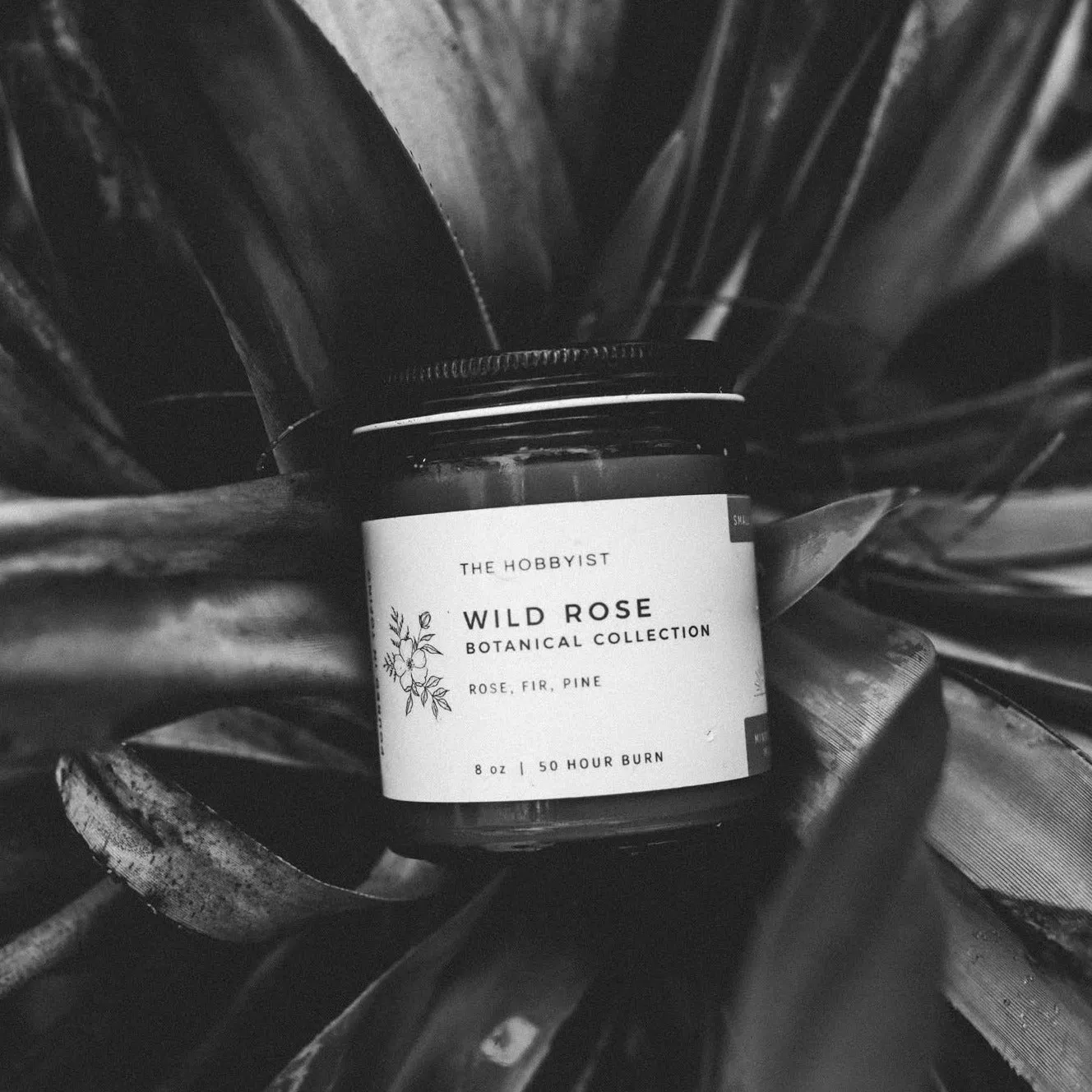 Wild Rose | Botanical Candle